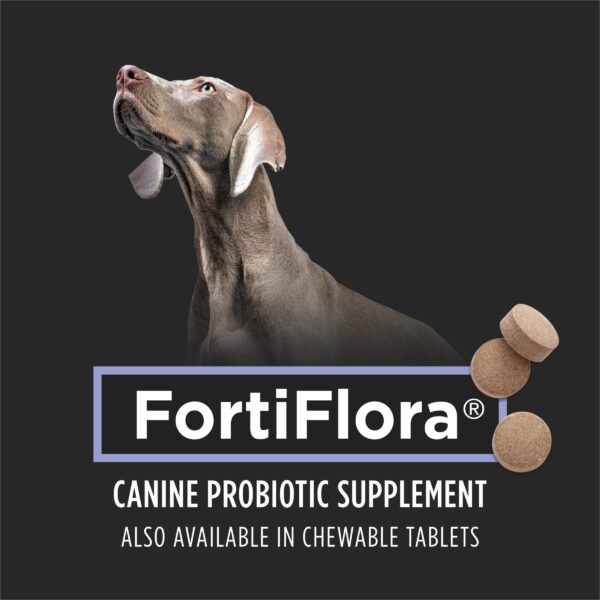 Purina Pro Plan Veterinary Supplements FortiFlora Dog Probiotic Supplement, Canine Nutritional Supplement - 30 Ct. Box - Image 2