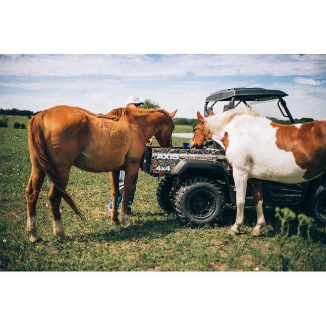 Axis 500 4×4 UTV Camo - Image 5